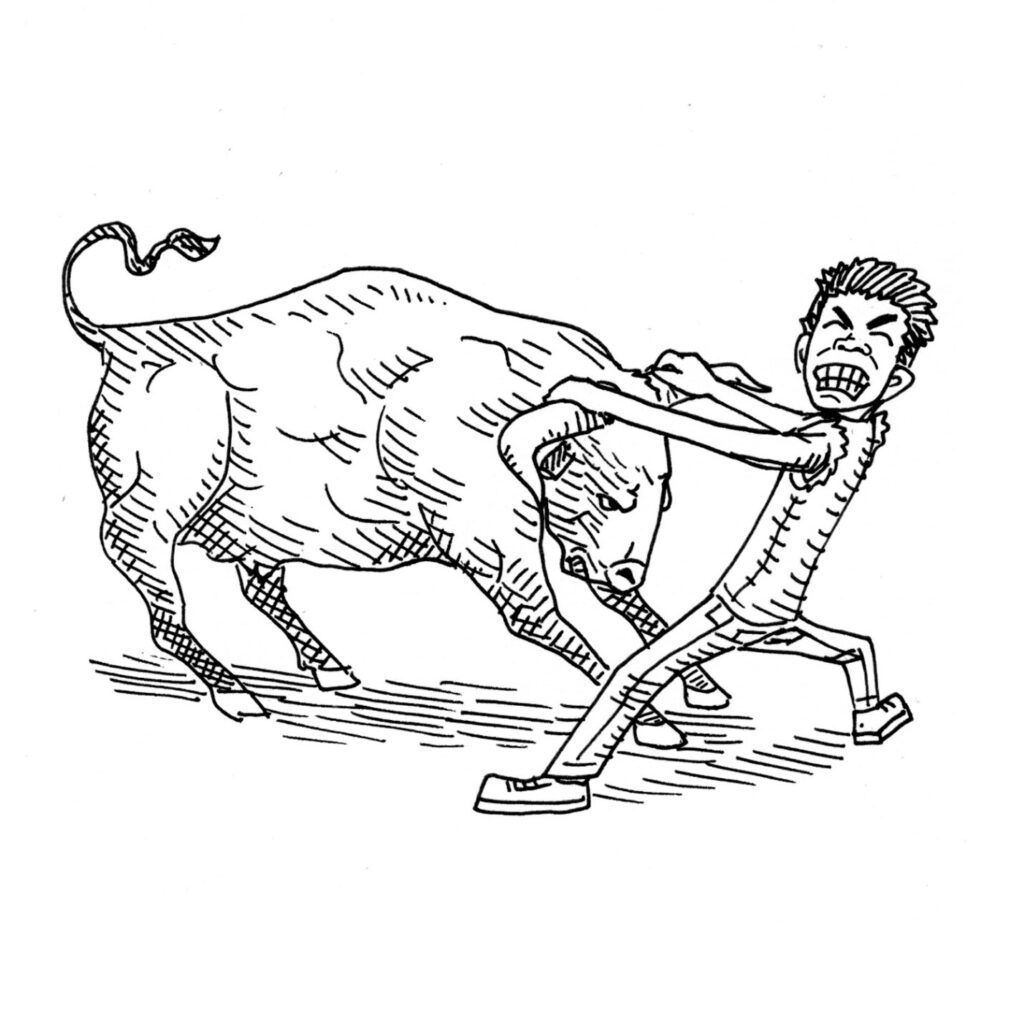 Take The Bull By The Horns Là Gì